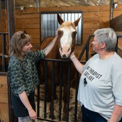 DaralynnLizzieLucyBarn