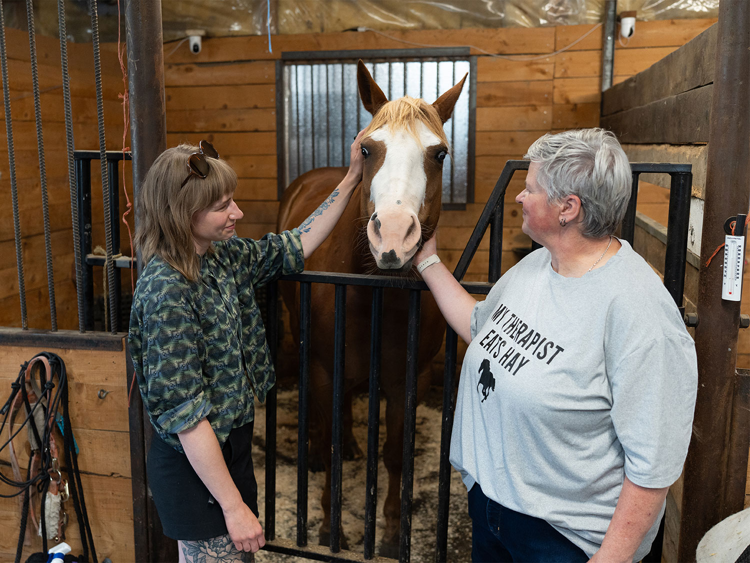 DaralynnLizzieLucyBarn DaralynnLizzieLucyBarn
