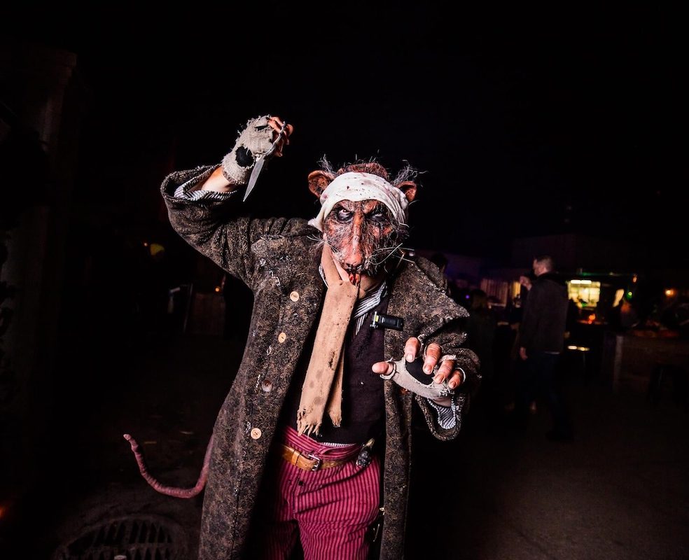 25 Things To Do in Edmonton This October