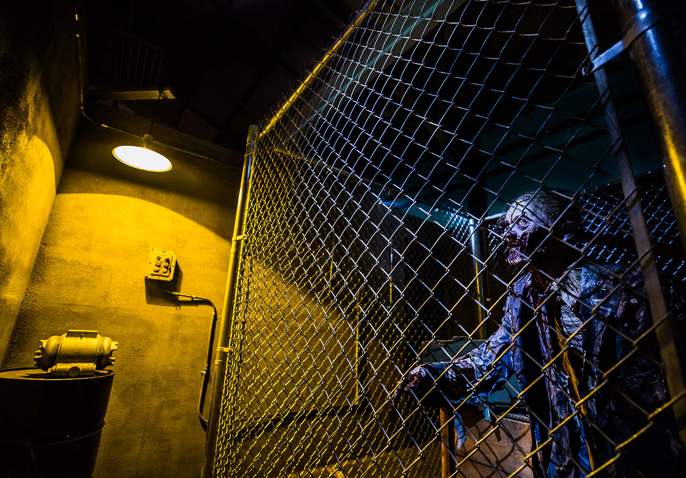 Deadmonton Haunted House and Halloween Store, spooky image