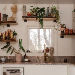 EDIFY_May-2026_Look-4