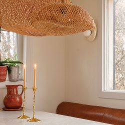 EDIFY_May-2026_Look-6