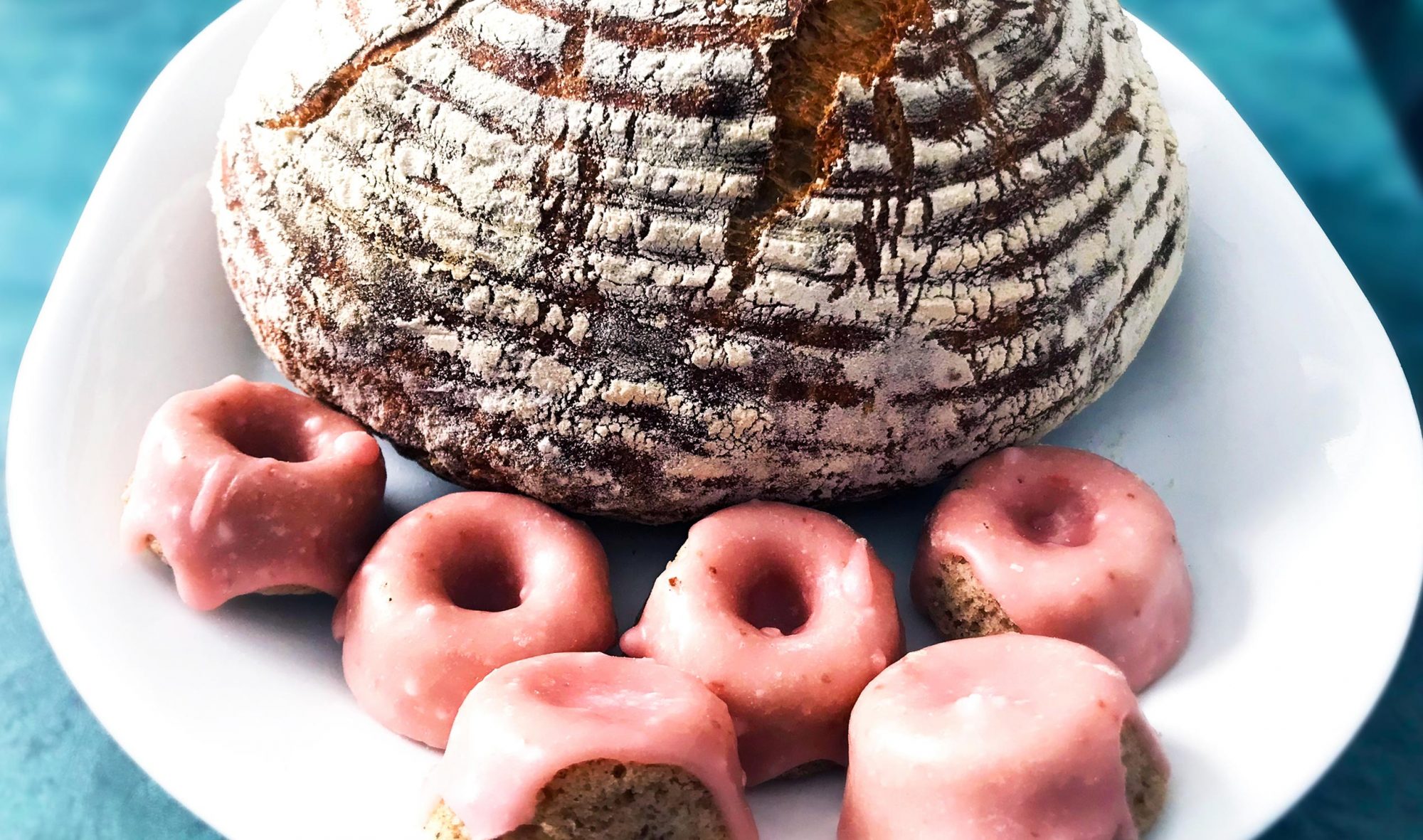 EdifyEdmonton-Article