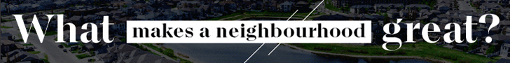 Edify Neighbourhood Survey LB.May2025