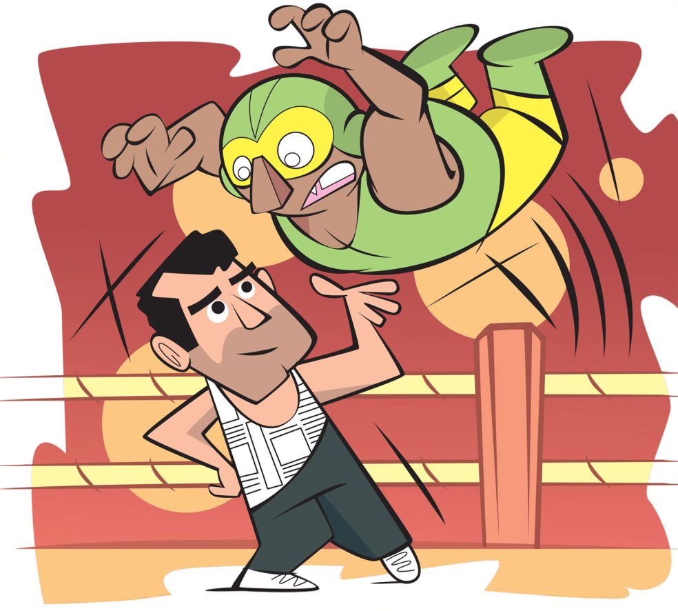 Smarten Up!: Pro Wrestling