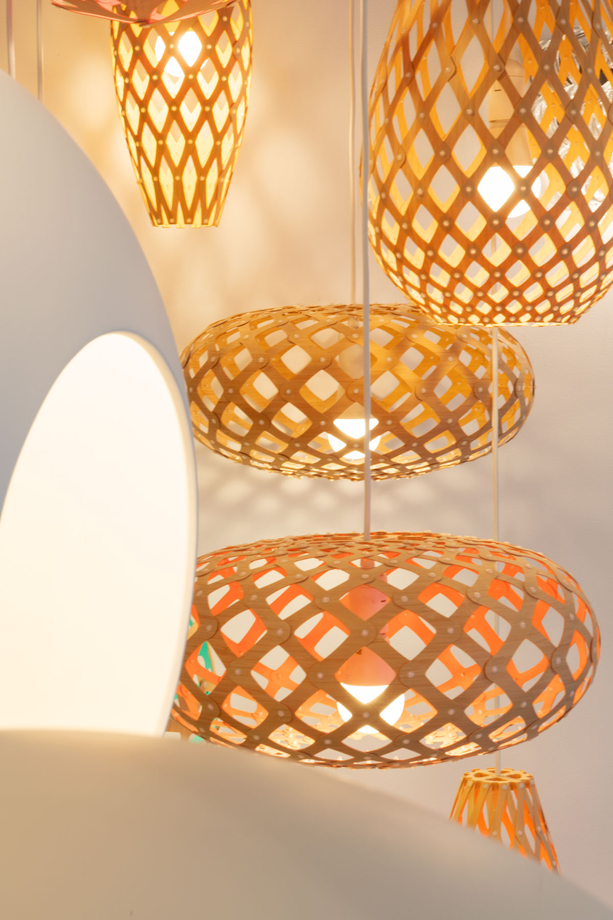 Edify_VividConcepts5