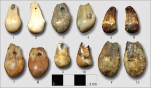 Elk-tooth-pendants-from-Archaeological-Sites-in-Alberta