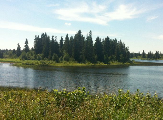 Exploring Elk Island National Park