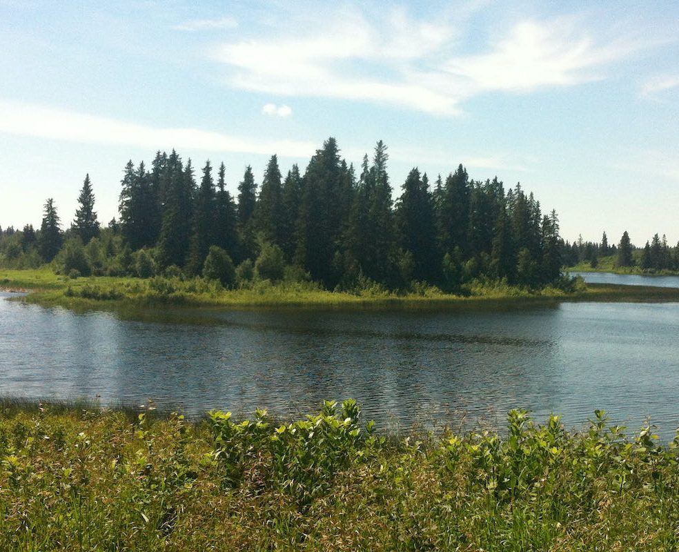 Exploring Elk Island National Park