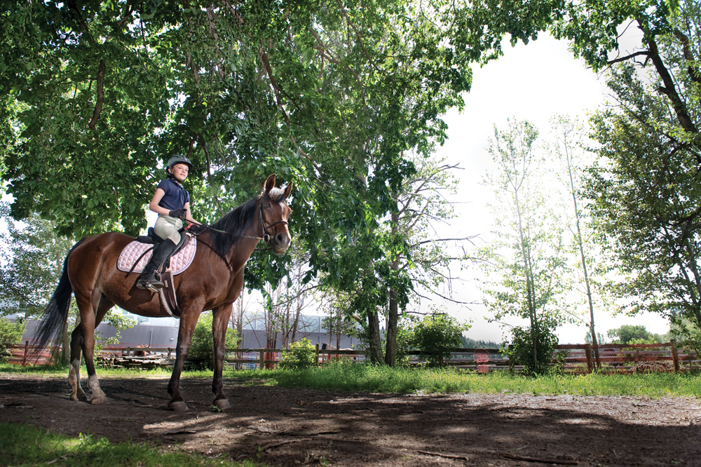 FOR-WEB_AVE-Riding-0170_2-HR