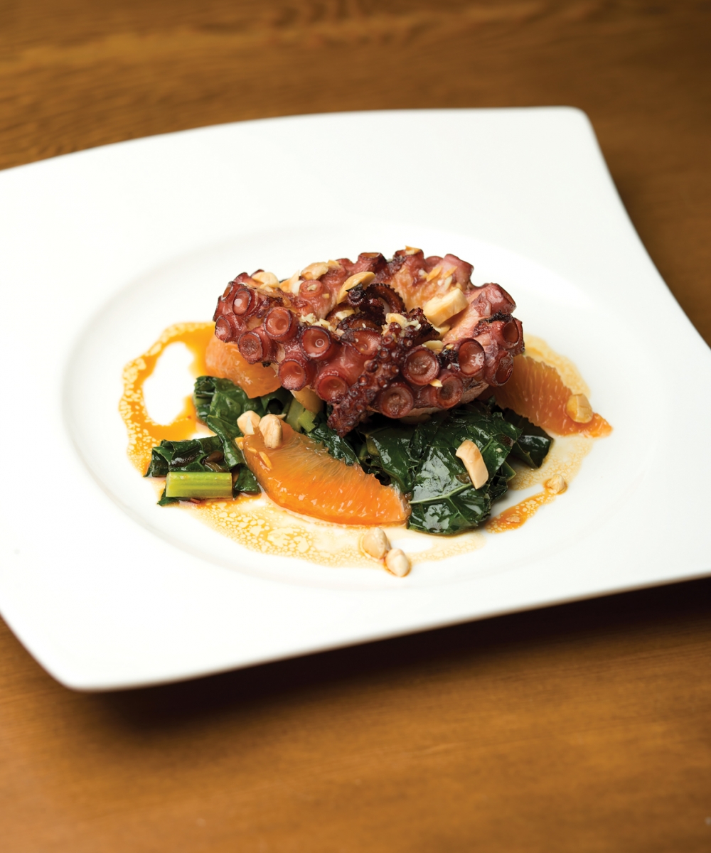 FOR-WEB_AVE-octopus-25