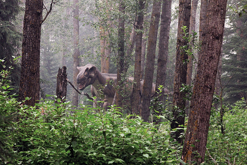 FOR WEB_Albertosaurus (2)