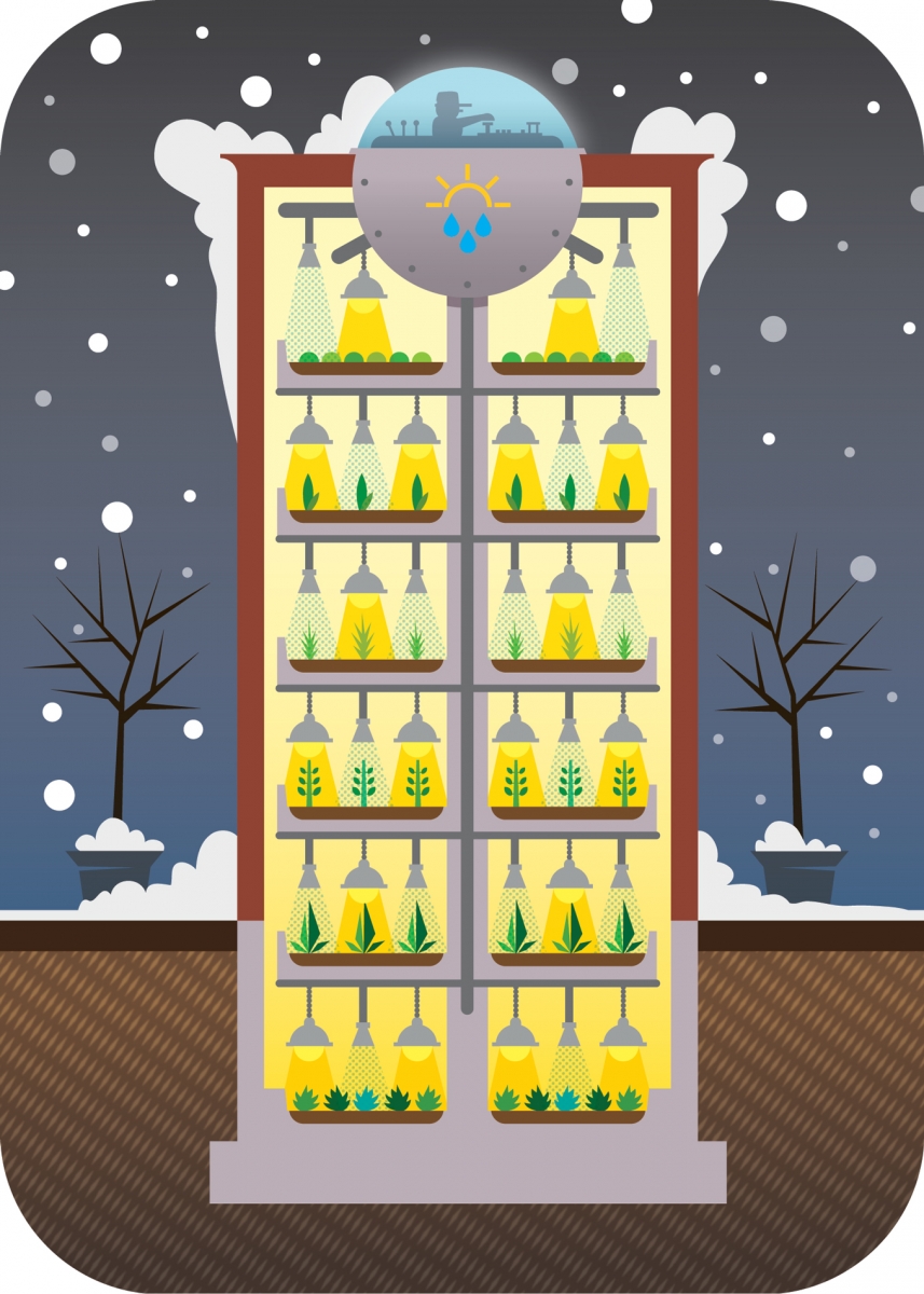 FOR-WEB_Avenue-Aug-2016-Vert-Farming