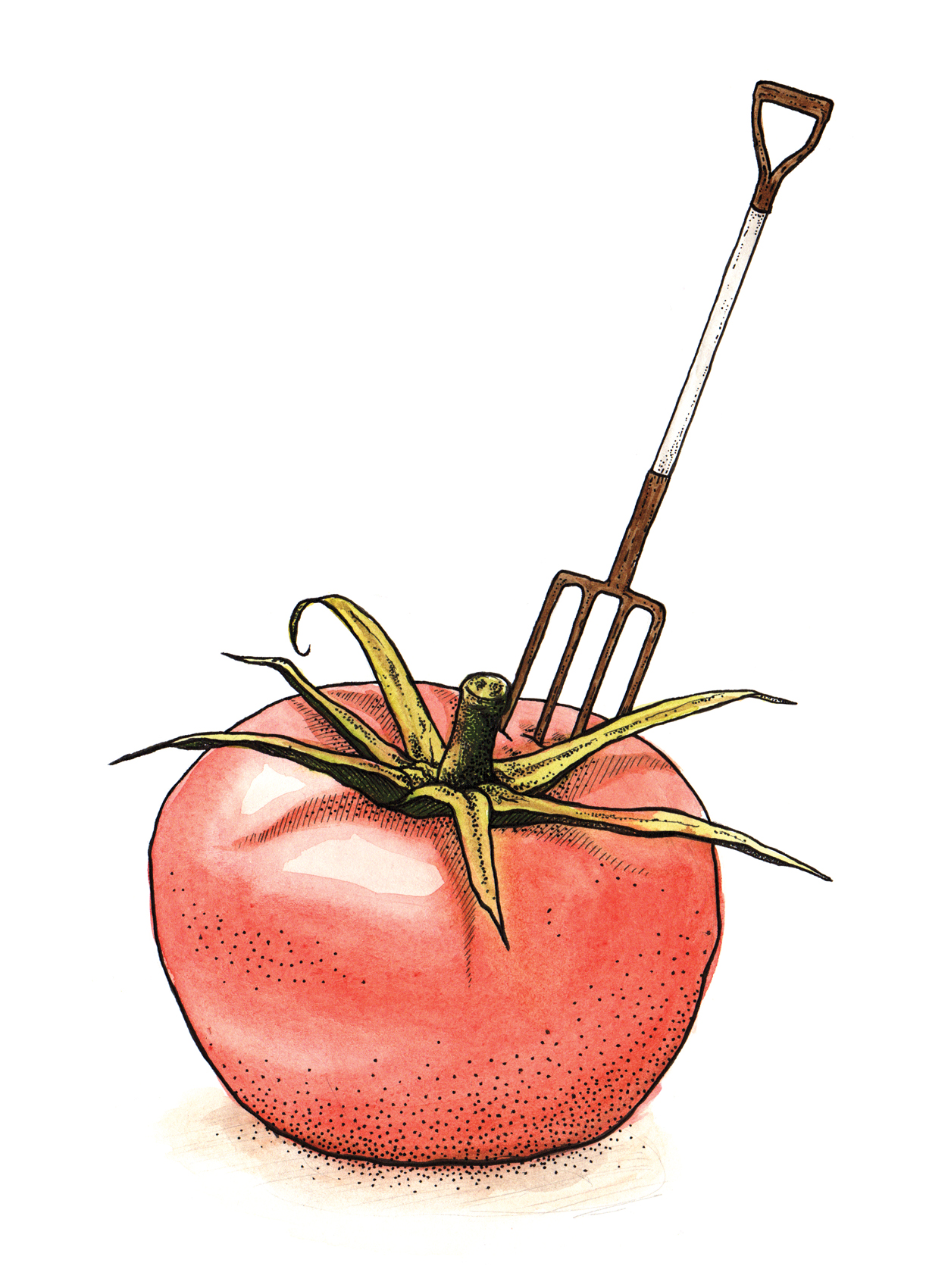 FOR-WEB_FarmToTable_April2016_AvenueMagazine