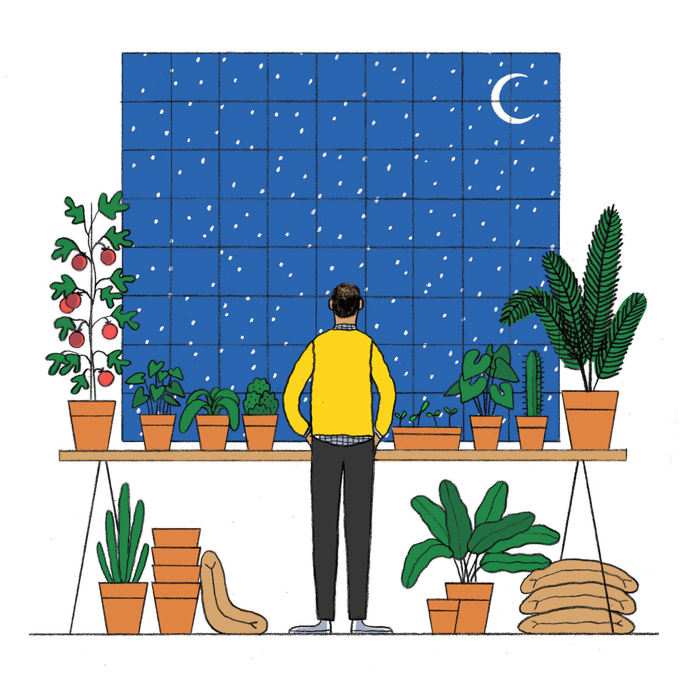 FOR-WEB_Kyle_Avenue_Garden_Final