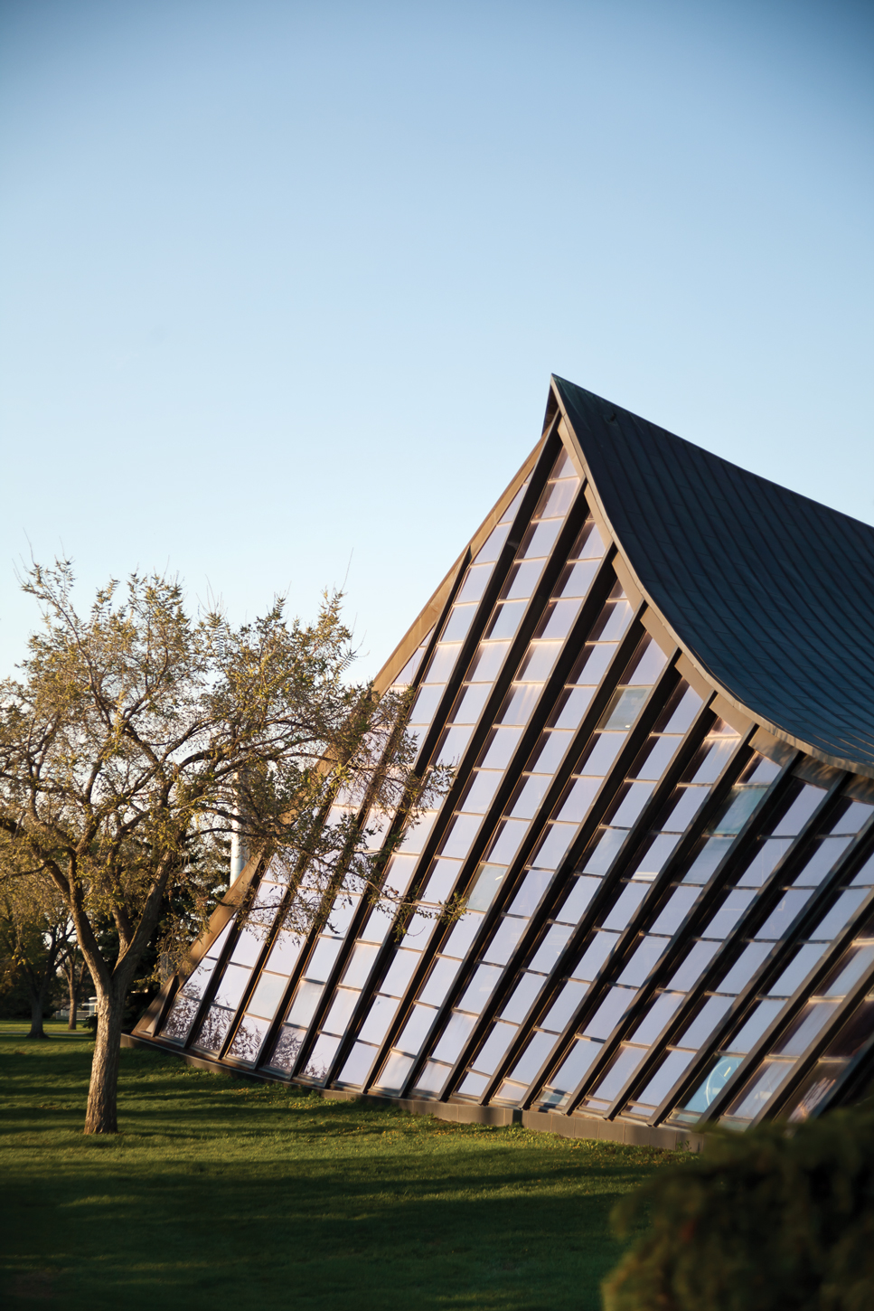 FOR-WEB_PeterHemingway