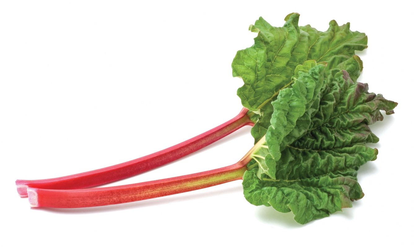 FOR-WEB_Rhubarb_Large-edc89363
