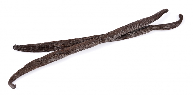 FOR-WEB_Vanilla_Large-c4d089ef