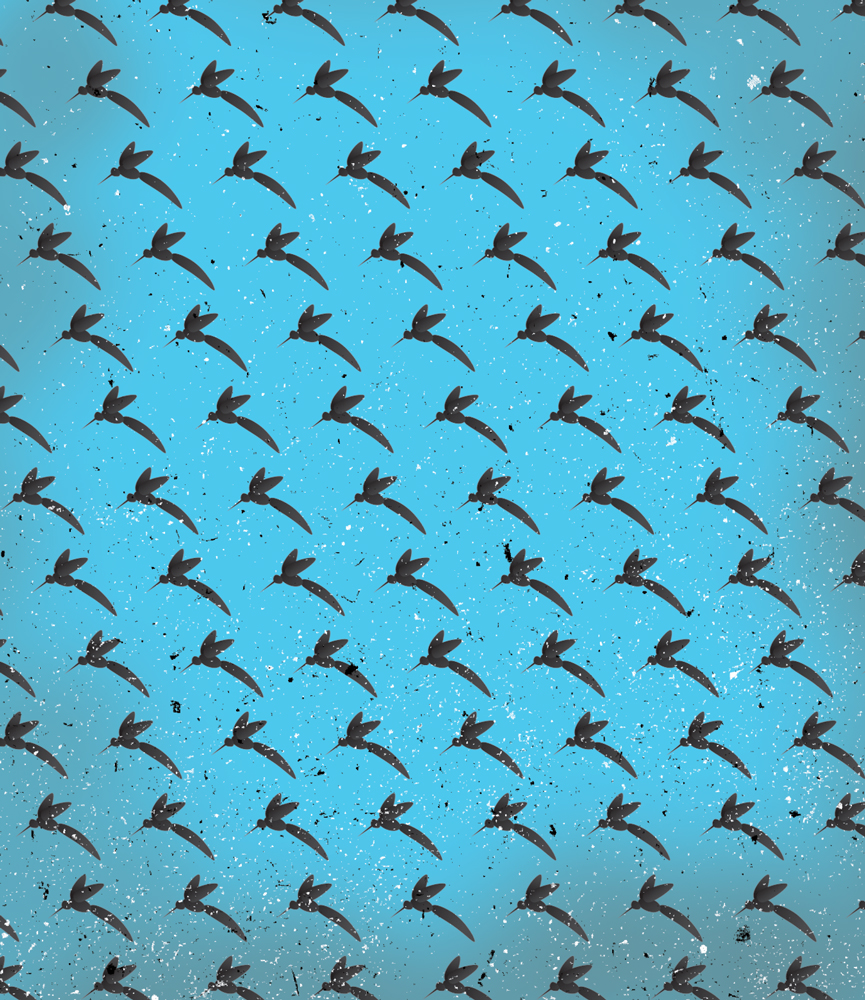 FOR-WEB_bugs_mosquito