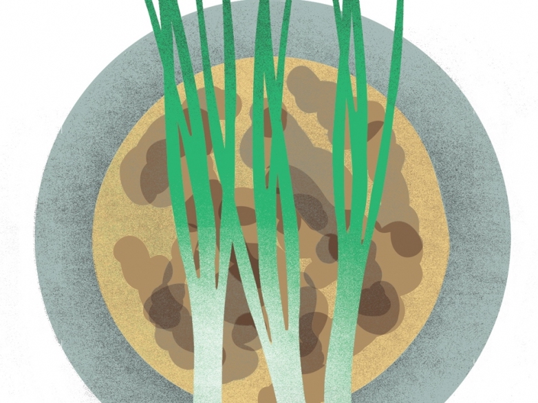 FOR-WEB_greenonioncake-fullpan-fd3b0d3d-1