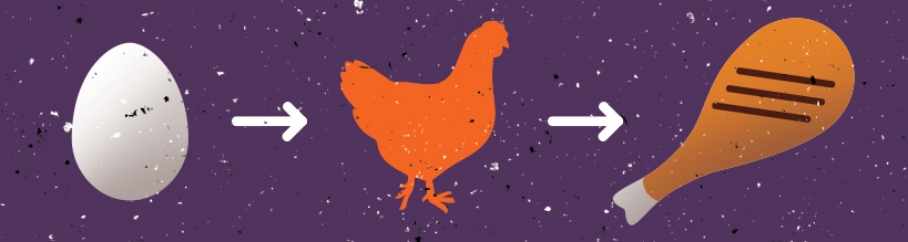 FOR-WEB_grill_chicken