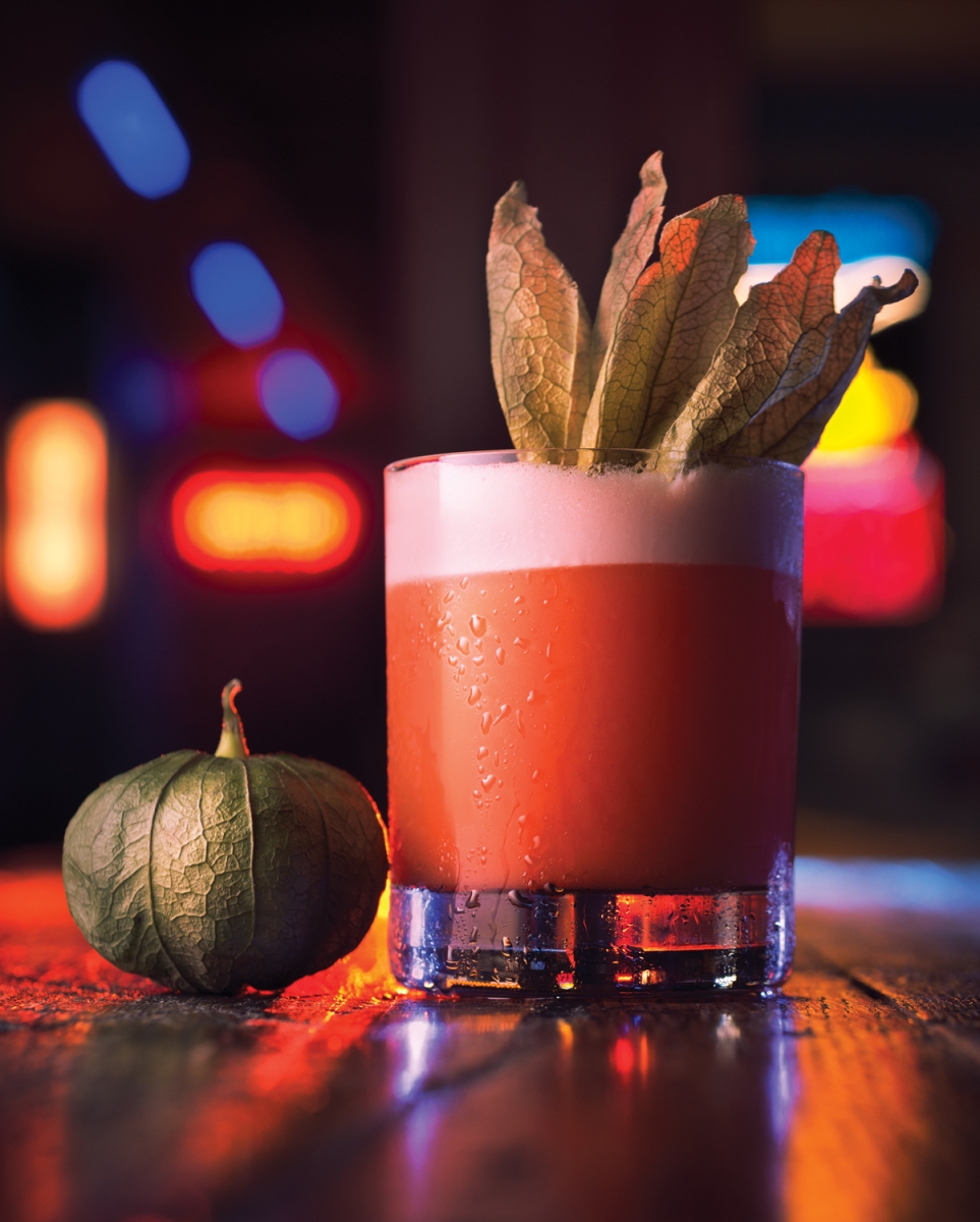 FOR-WEB_havemercy_01-HR