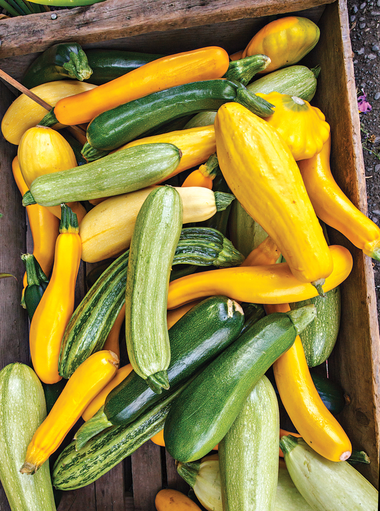 FOR-WEB_shutterstock_449749306-HR