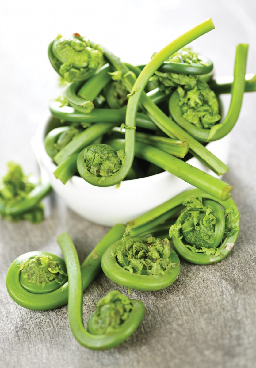 FOR-WEB_shutterstock_54784801