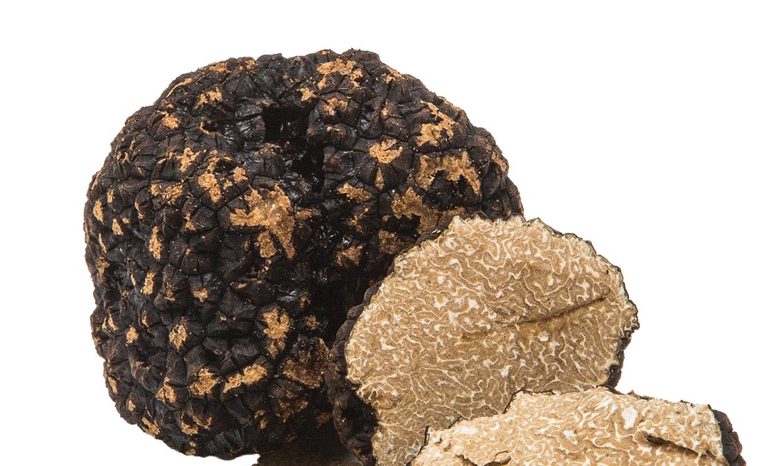 Black Truffle Edify.