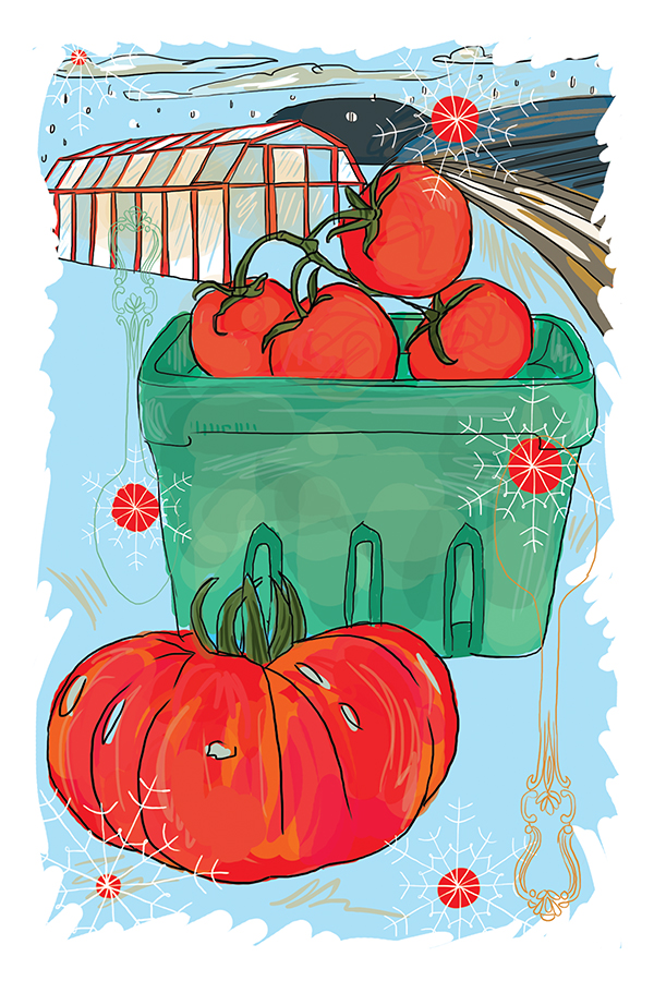 FOR WEB_wintertomato