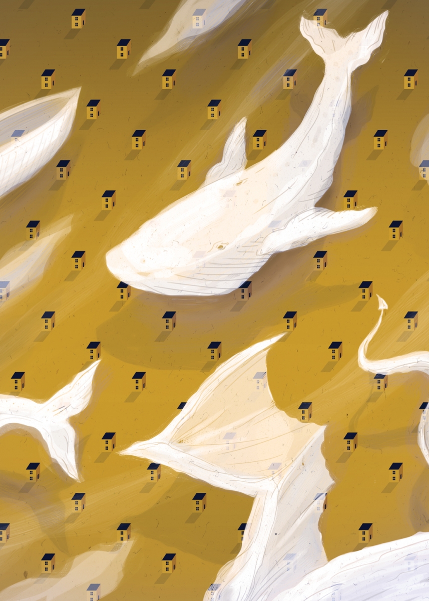 FOR-WEB_yeg_whales-1