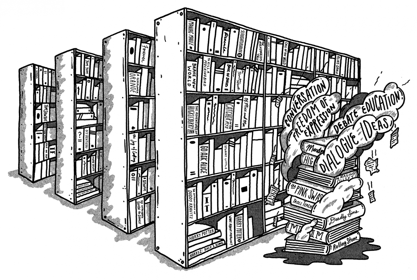 Library shelves Library shelves