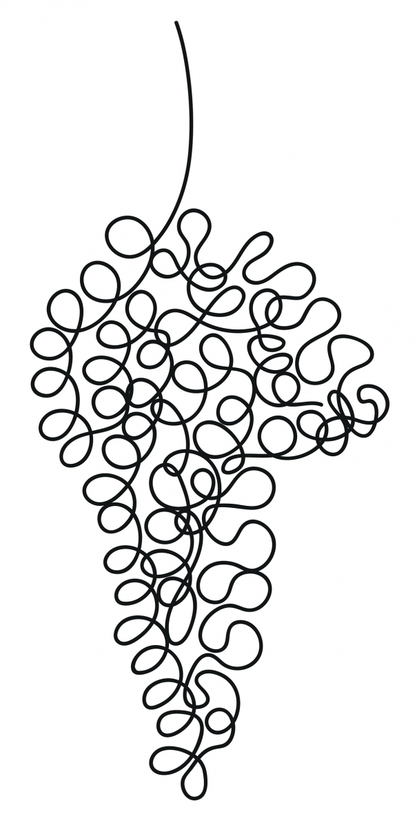 FoodDrink_squiggly-grapes.jpg