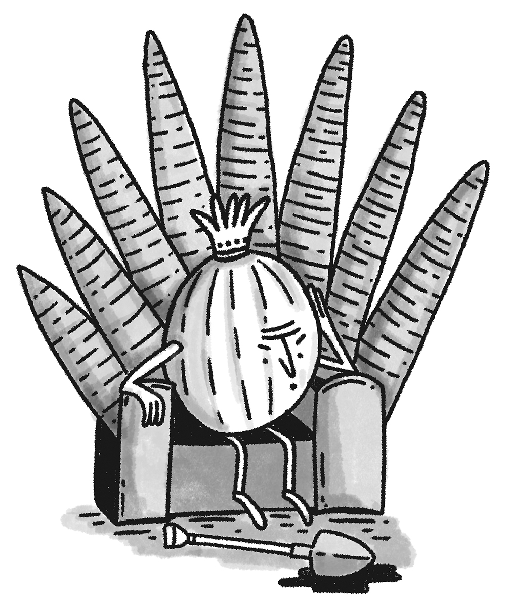 GameOfThrones_CarrotThrone_Illo-BW