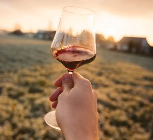 Glass Of Wine in sunset field