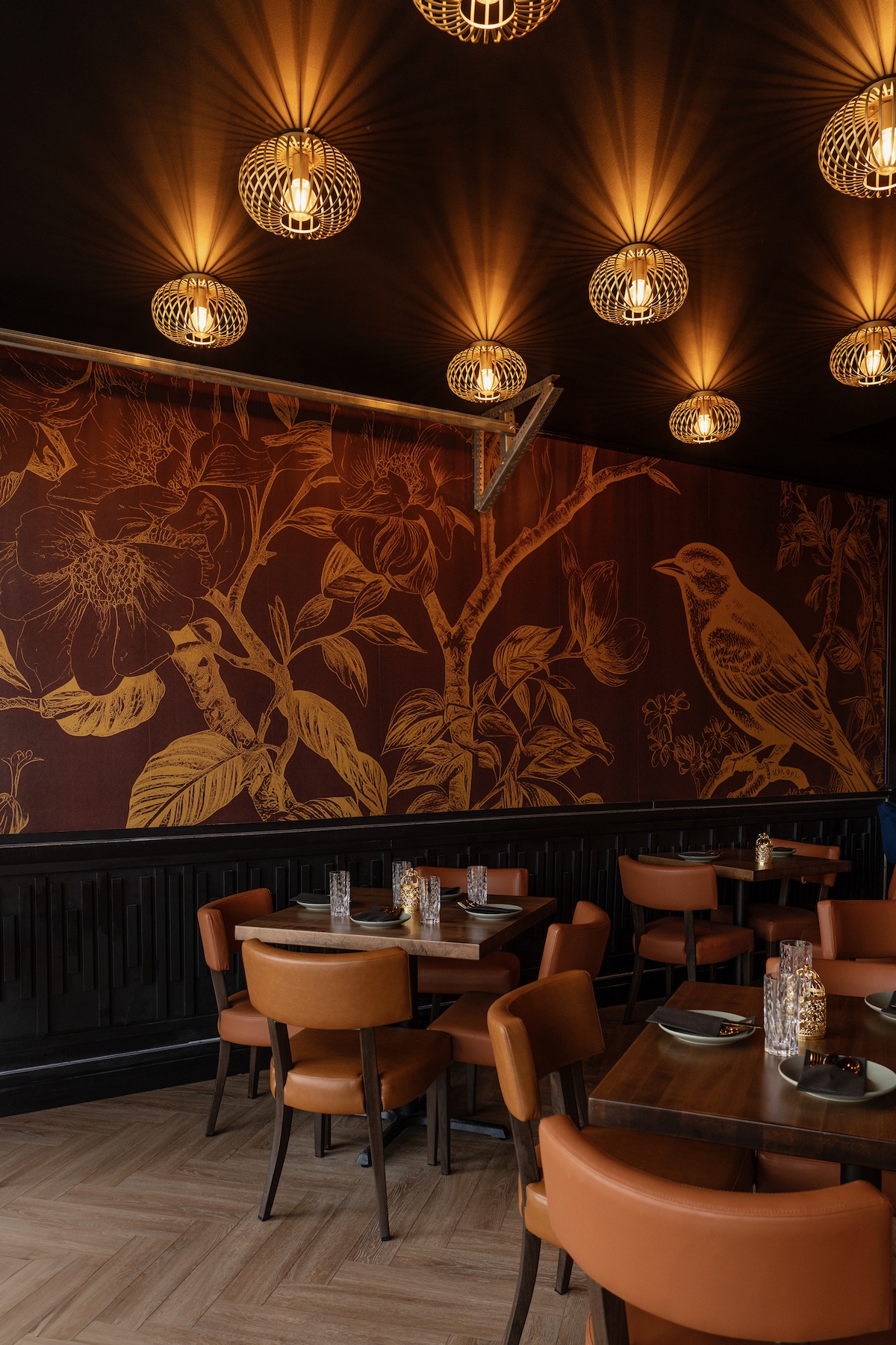 GoldenSparrowMarch2025AZ-5