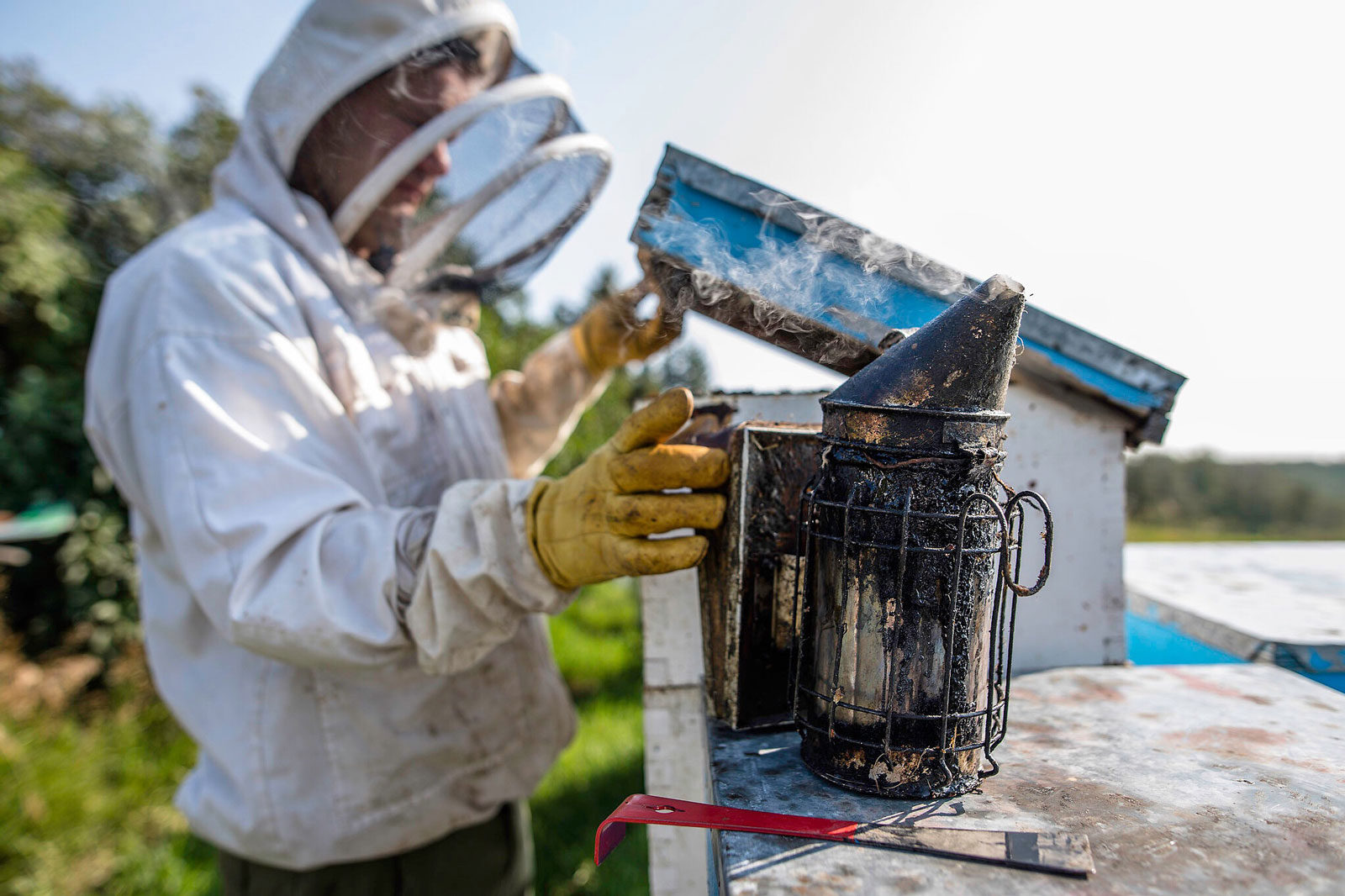 GoodMorningHoney_EdifyEdmonton