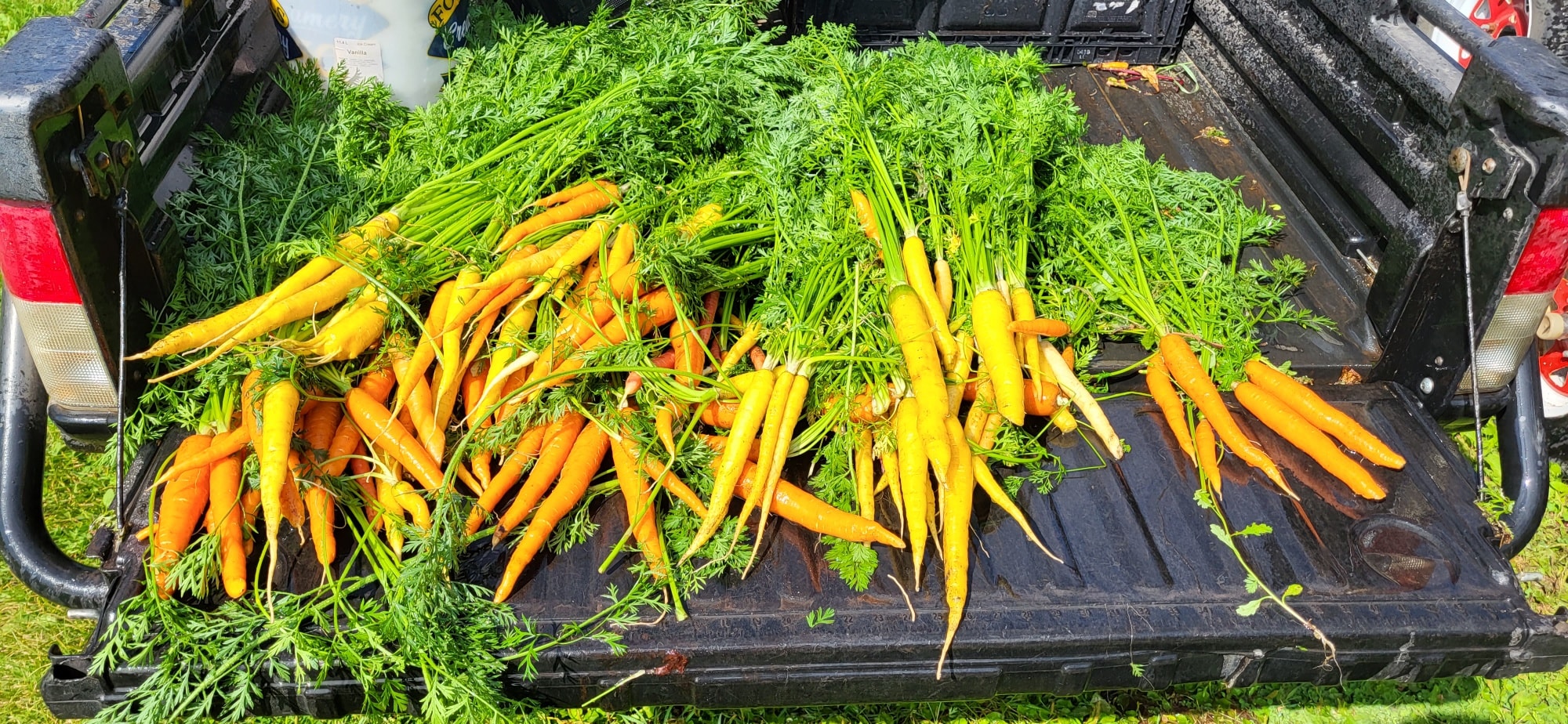 Happy Acres U-Pick Farm