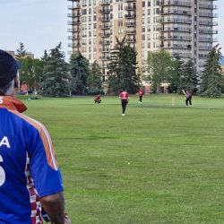 Helping Hands story cricket photo 3