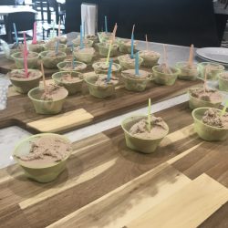 The Italian Centre in Sherwood Park makes its own gelato.