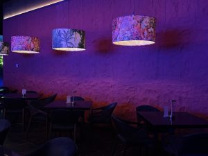 IMG_2268