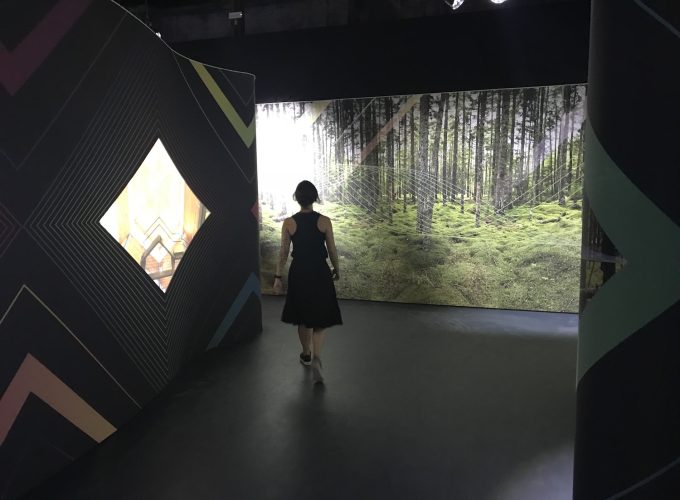 A World-Class Exhibition, Hidden in Plain Sight