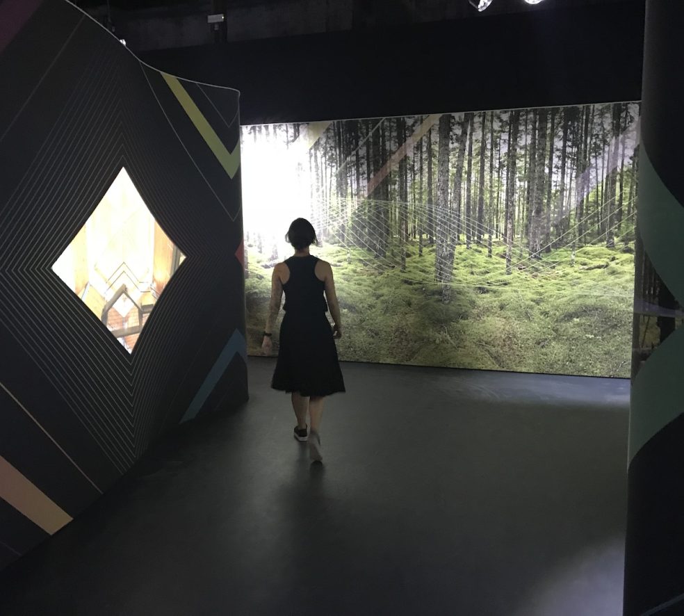 A World-Class Exhibition, Hidden in Plain Sight