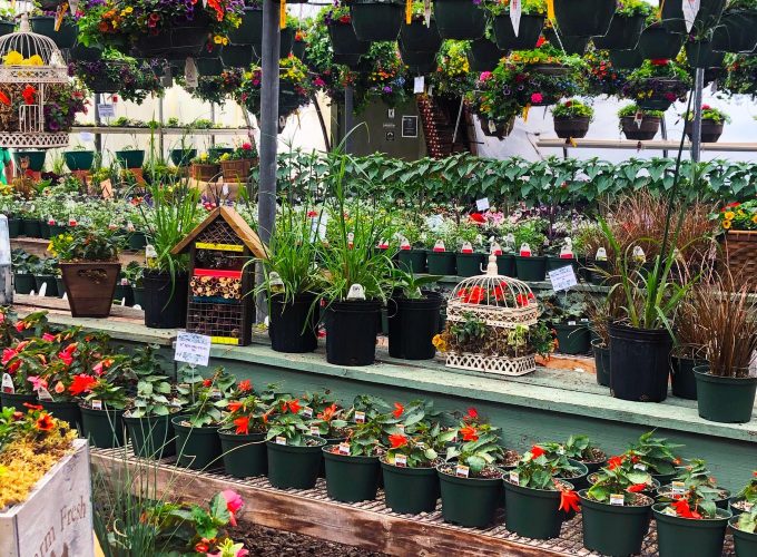 Green Thumbs Up! Edify's 2021 Greenhouse Guide