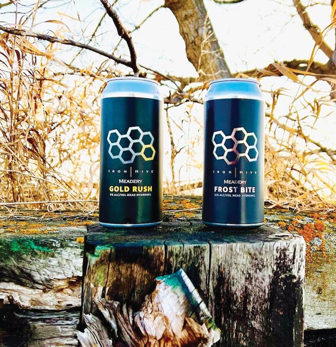 IronHiveMeadery_BlueCans_TreeStump