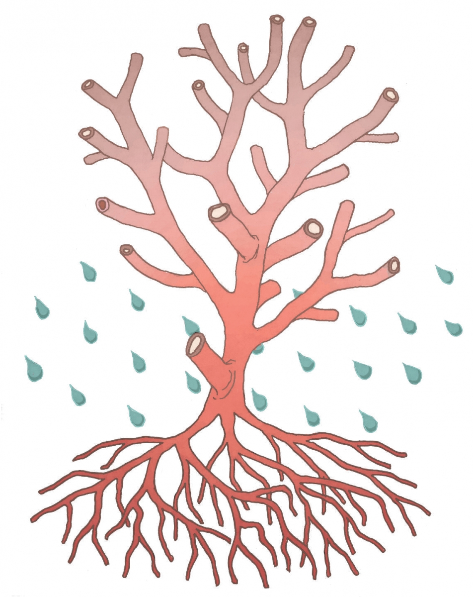 JL1504_spot2 JL1504_spot2