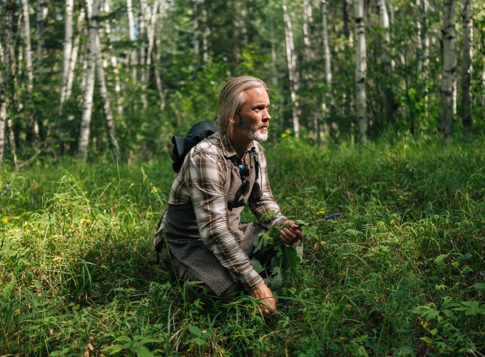 Most of the Forest is Food