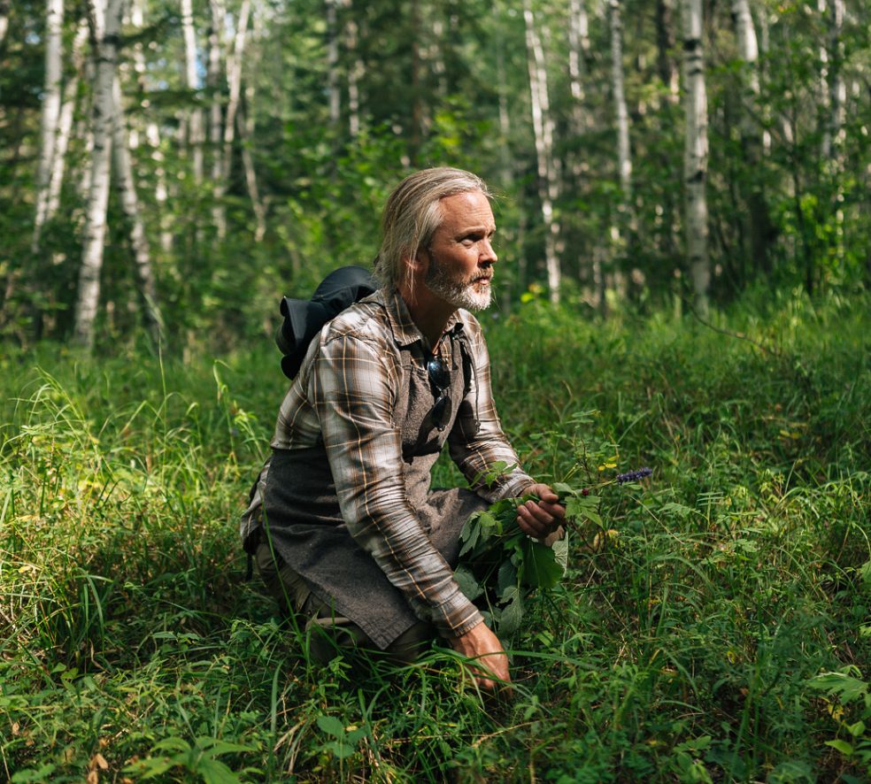 Most of the Forest is Food
