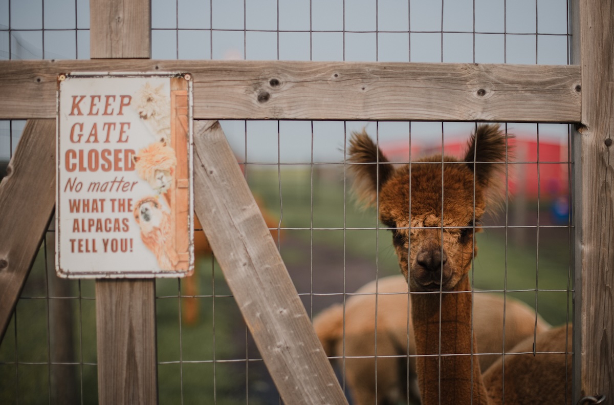 Kristina Felker Photography-2