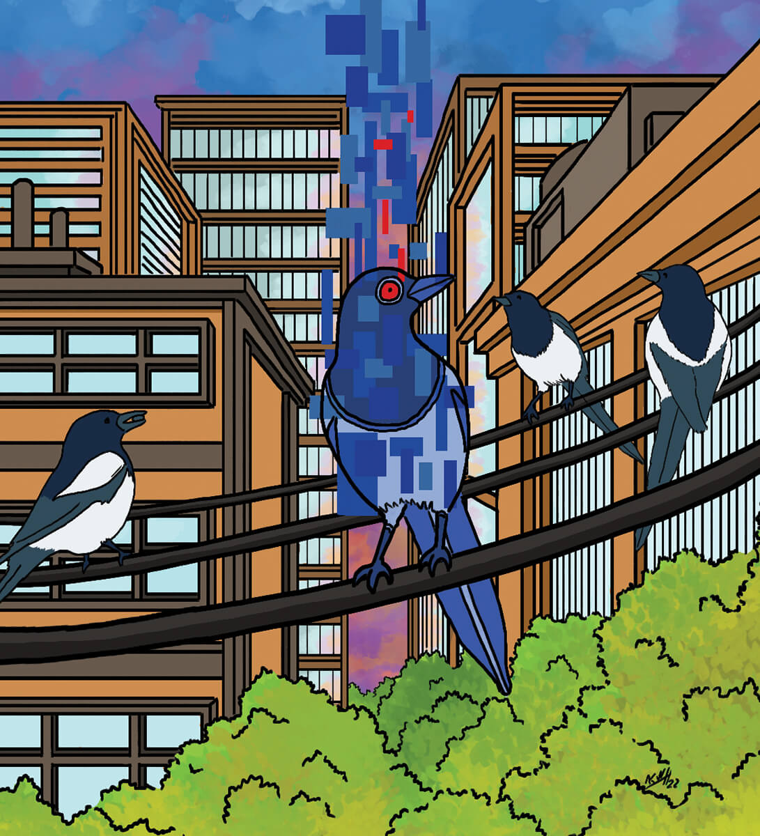 M.A.G.P.I.E_BlueJay_Illo